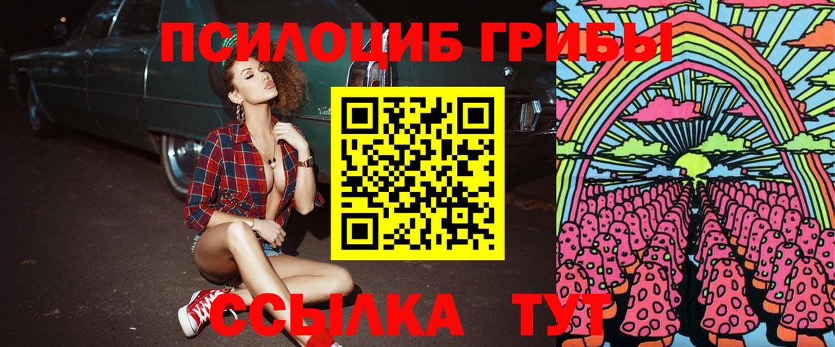 Галлюциногенные грибы Psilocybine cubensis Свободный