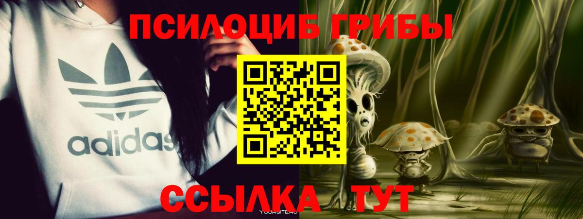 Галлюциногенные грибы прущие грибы  что такое   Свободный  Вход с VPN 